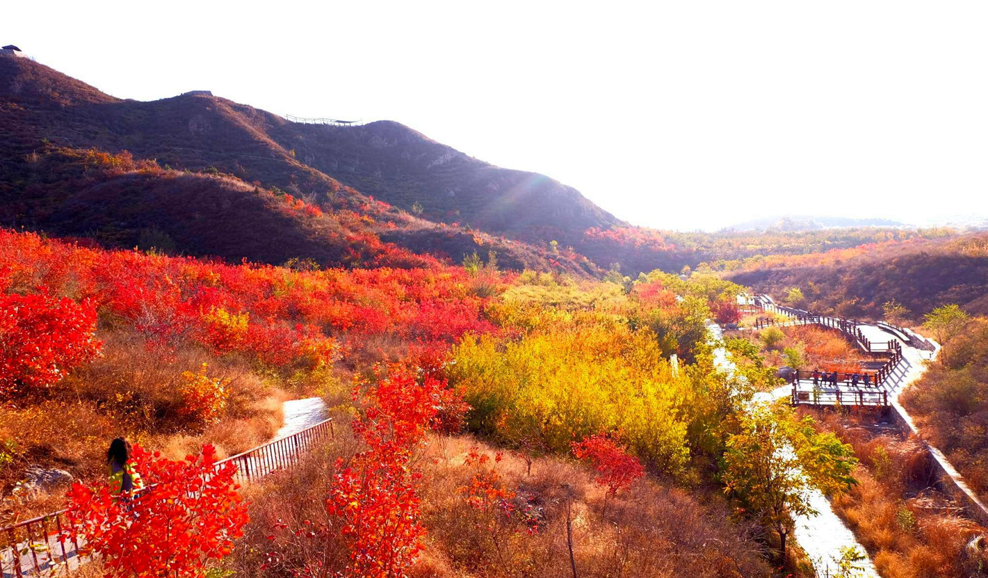 碧澗流紅葉  青林(lín)點白雲